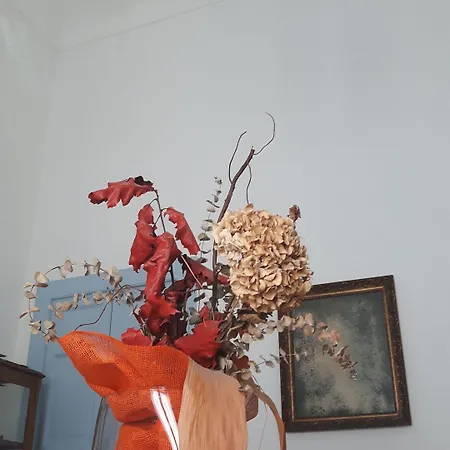 Casa Maltese Ri 3*